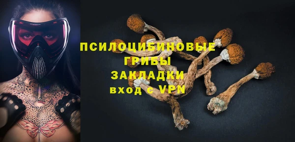 спайс Богданович