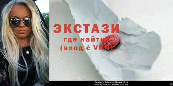 индика Бородино
