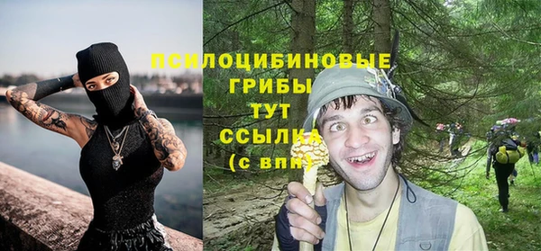 эйфоретик Бронницы