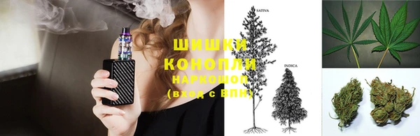 спайс Богданович