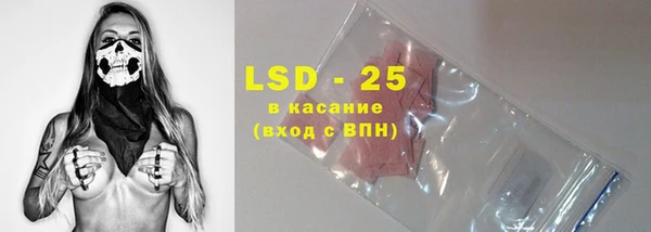спайс Богданович