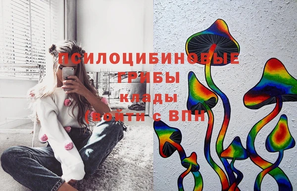 индика Бородино