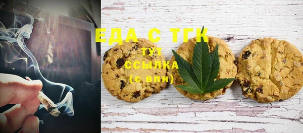 индика Бородино