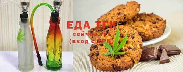 индика Бородино