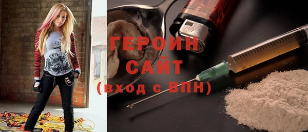 индика Бородино