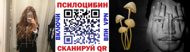 Псилоцибиновые грибы MAGIC MUSHROOMS  Купить где  Тетюши 